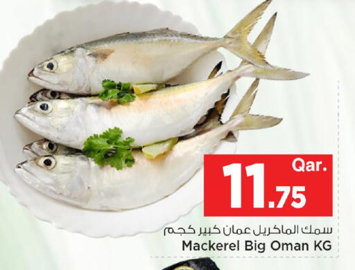 available at مارك & سيف in قطر - الشمال