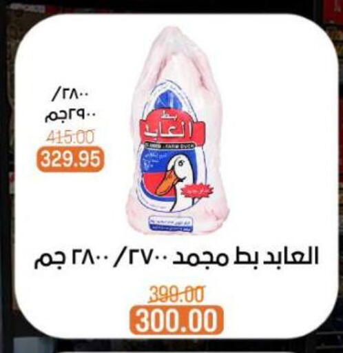available at Beit El Gomla in Egypt - Cairo