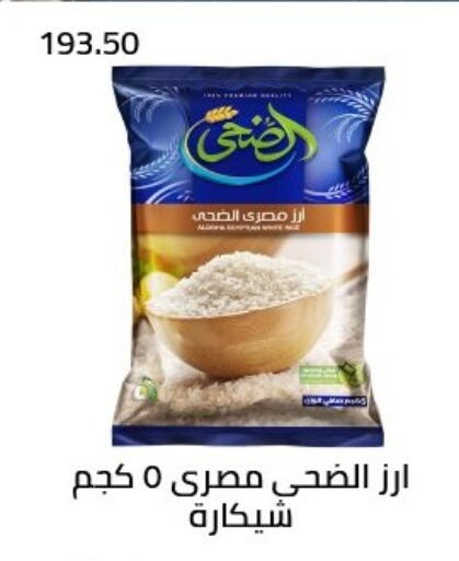 available at Arafa Market in Egypt - Cairo