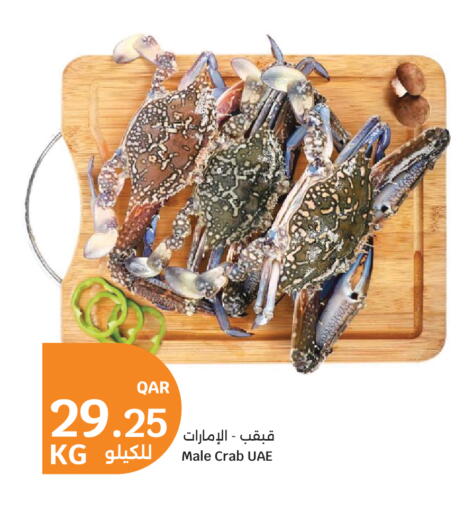 available at سيتي هايبرماركت in قطر - الشمال