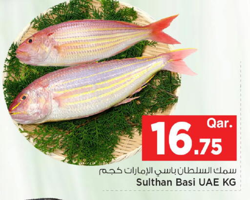 available at مارك & سيف in قطر - الشمال
