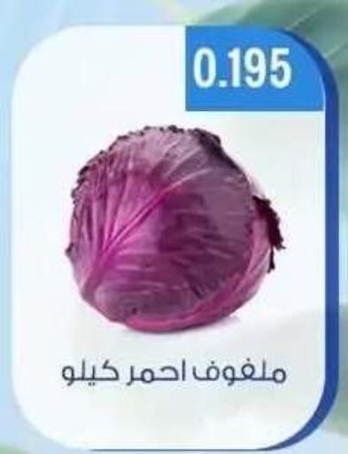 available at جمعية حطين التعاونية in الكويت - مدينة الكويت