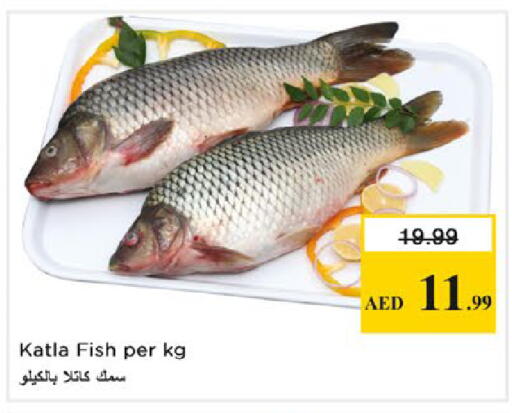 available at نستو هايبرماركت in الإمارات العربية المتحدة , الامارات - رَأْس ٱلْخَيْمَة