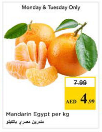 Mandarin from Egypt available at Nesto Hypermarket in UAE - Dubai