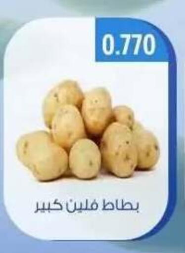 available at جمعية حطين التعاونية in الكويت - مدينة الكويت