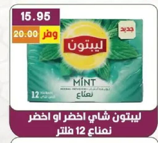 Mint available at بشاير هايبرماركت in Egypt - القاهرة