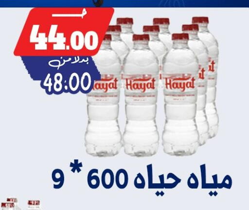 available at Bondok Market  in Egypt - Cairo
