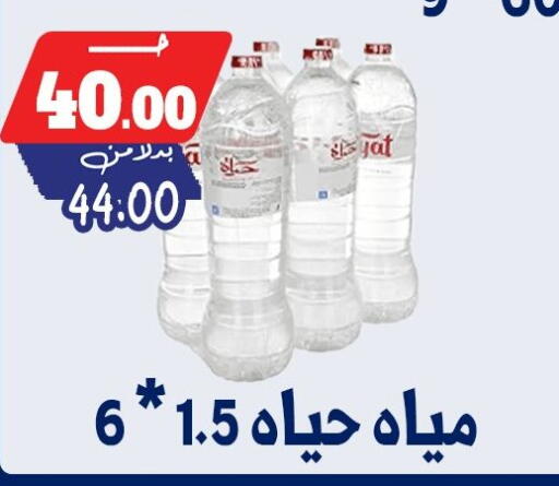 available at Bondok Market  in Egypt - Cairo