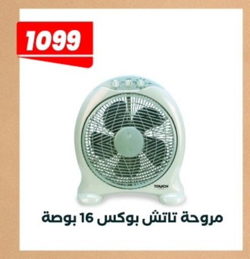 available at Arafa Market in Egypt - Cairo