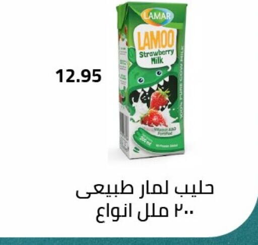 Strawberry available at Arafa Market in Egypt - Cairo