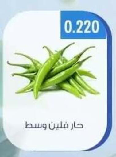 available at جمعية حطين التعاونية in الكويت - مدينة الكويت