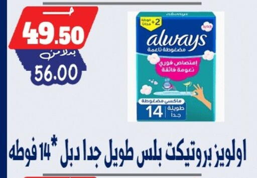 available at بندق ماركت in Egypt - القاهرة