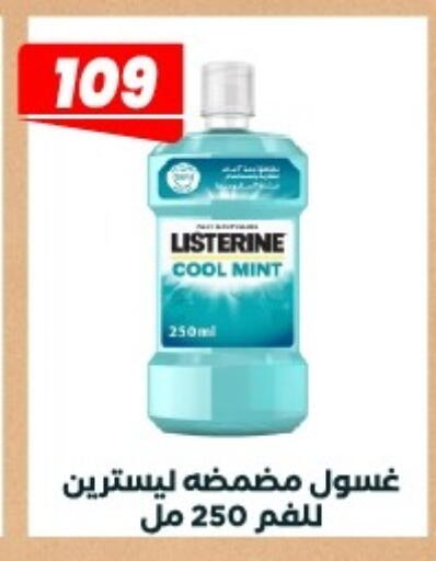 Mint available at Arafa Market in Egypt - Cairo