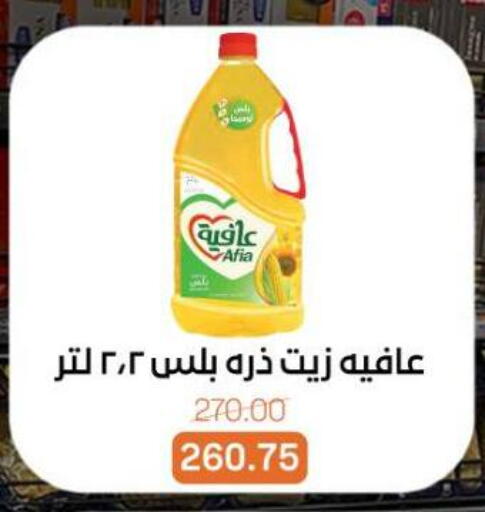 available at Beit El Gomla in Egypt - Cairo