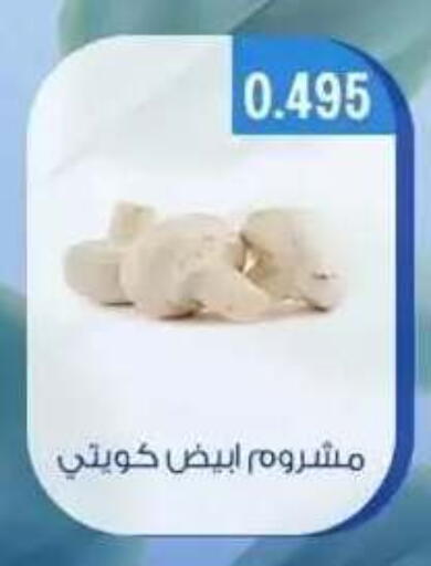 available at جمعية حطين التعاونية in الكويت - مدينة الكويت