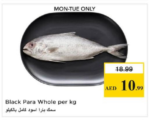 available at نستو هايبرماركت in الإمارات العربية المتحدة , الامارات - رَأْس ٱلْخَيْمَة