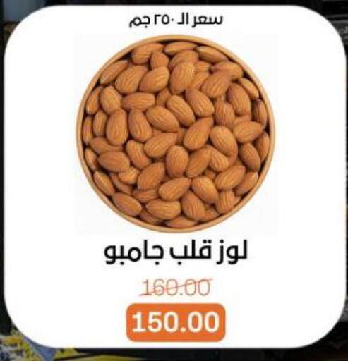 available at بيت الجملة in Egypt - القاهرة