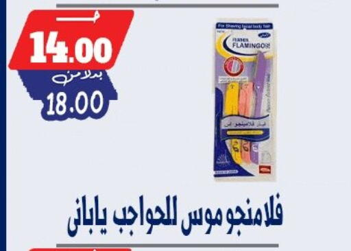 available at بندق ماركت in Egypt - القاهرة