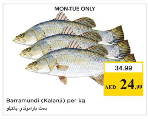 available at نستو هايبرماركت in الإمارات العربية المتحدة , الامارات - رَأْس ٱلْخَيْمَة