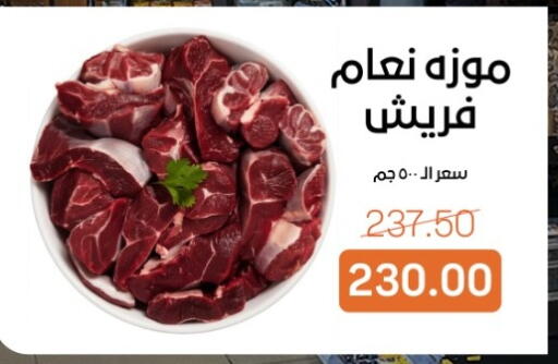 available at Beit El Gomla in Egypt - Cairo