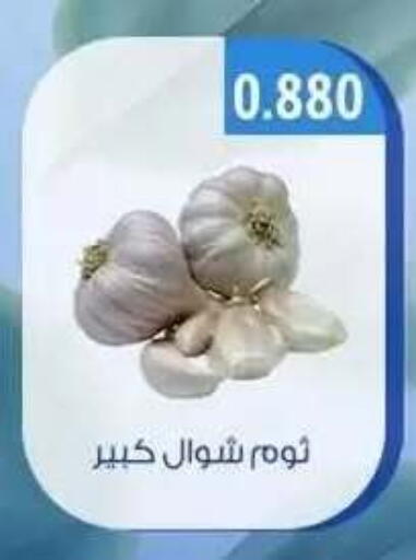 available at جمعية حطين التعاونية in الكويت - مدينة الكويت