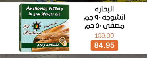 available at Beit El Gomla in Egypt - Cairo