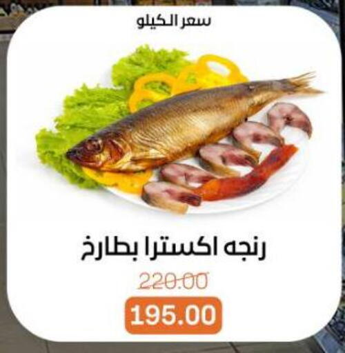available at Beit El Gomla in Egypt - Cairo