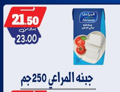 available at بندق ماركت in Egypt - القاهرة