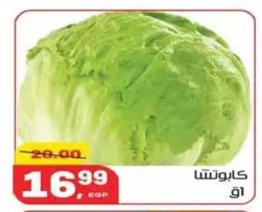 available at Hyper El Mansoura Shobra in Egypt - Cairo