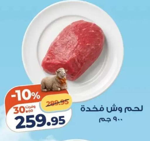 available at كازيون in Egypt - القاهرة