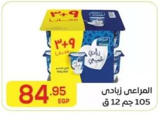 available at المحلاوي ماركت in Egypt - القاهرة