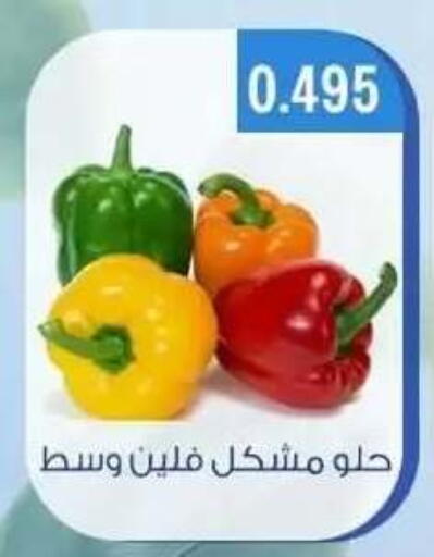 available at جمعية حطين التعاونية in الكويت - مدينة الكويت