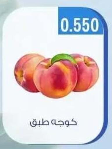 available at جمعية حطين التعاونية in الكويت - مدينة الكويت