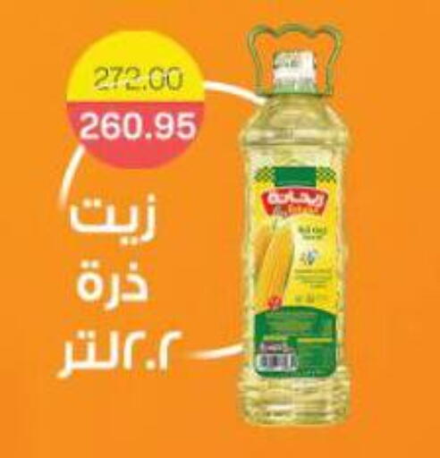 available at Beit El Gomla in Egypt - Cairo