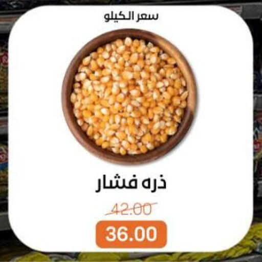 available at Beit El Gomla in Egypt - Cairo