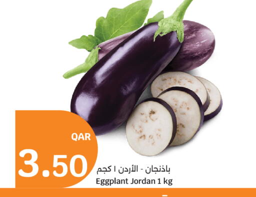 Eggplant from Jordan available at سيتي هايبرماركت in قطر - الشمال