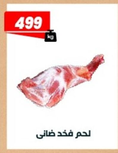 available at Arafa Market in Egypt - Cairo