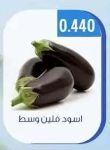 available at جمعية حطين التعاونية in الكويت - مدينة الكويت