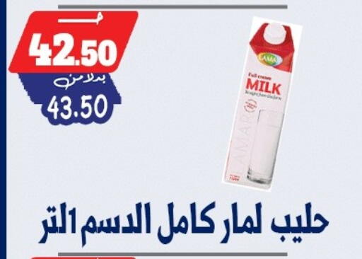 available at بندق ماركت in Egypt - القاهرة