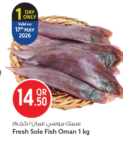 available at سفاري هايبر ماركت in قطر - الوكرة