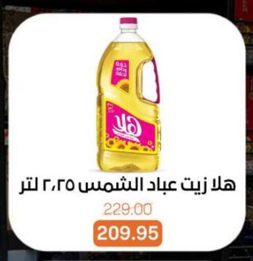 available at Beit El Gomla in Egypt - Cairo