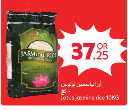 available at Carrefour in Qatar - Al Wakra