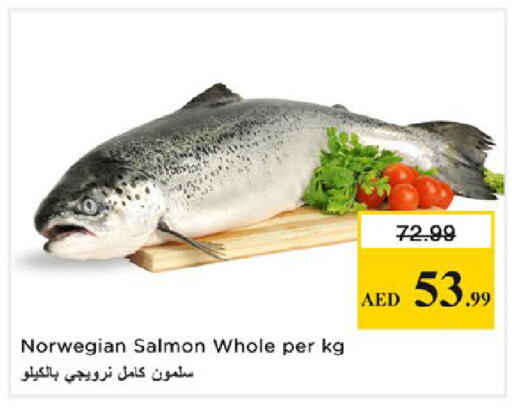 available at نستو هايبرماركت in الإمارات العربية المتحدة , الامارات - رَأْس ٱلْخَيْمَة