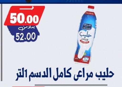 available at بندق ماركت in Egypt - القاهرة