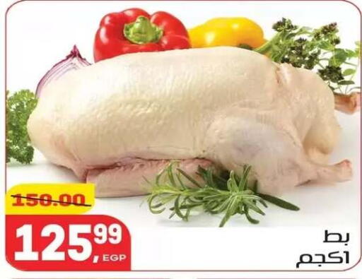 available at Hyper El Mansoura Shobra in Egypt - Cairo