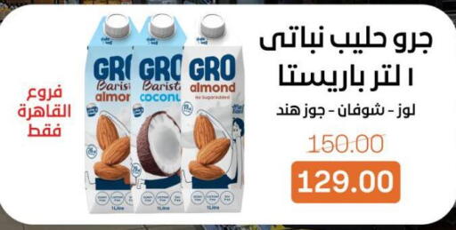 available at Beit El Gomla in Egypt - Cairo