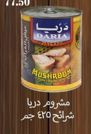 Mushroom available at Arafa Market in Egypt - Cairo