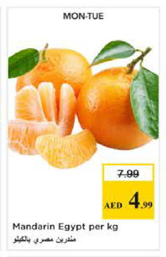 Mandarin from Egypt available at Nesto Hypermarket in UAE - Dubai