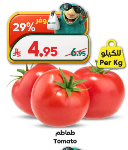 Tomato available at الدكان in مملكة العربية السعودية, السعودية, سعودية - المدينة المنورة