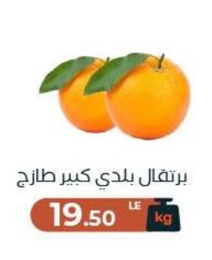 available at عرفة ماركت in Egypt - القاهرة